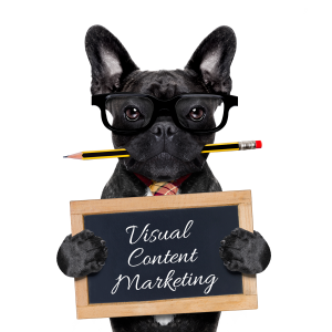 Visual Content Marketing 